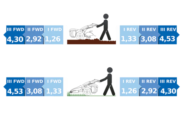 3 Forward & Reverse Speeds