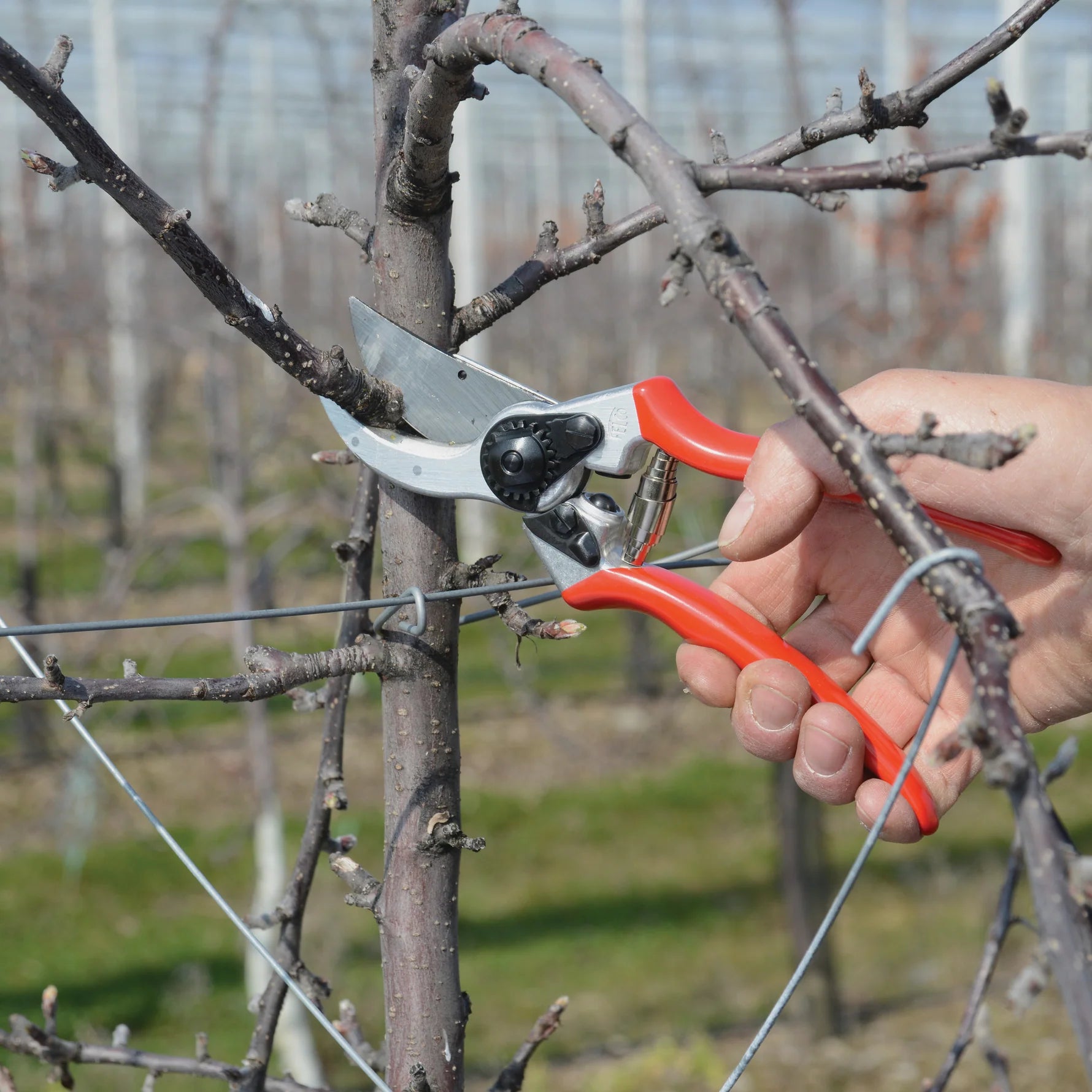 Felco 2 One Handed Secateurs