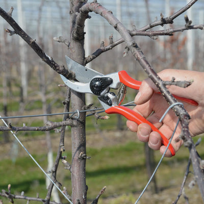 Felco 2 One Handed Secateurs