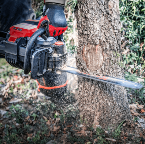 Engineered For Arborists