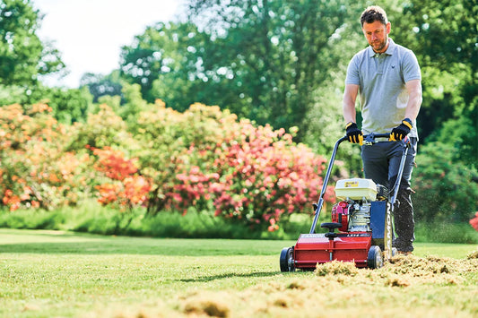 Camon LS14B1 Petrol Scarifier with Cartridge Options 16.5"