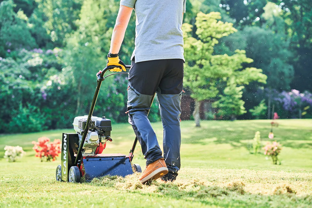 Camon LS14B1 Petrol Scarifier with Cartridge Options 16.5"
