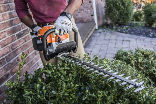 HIRE Petrol Hedge Trimmer Short Reach 24" - 26"