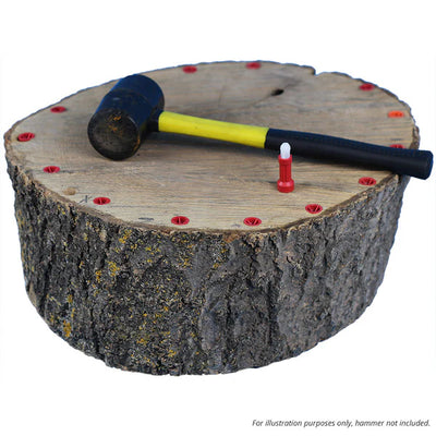 Ecoplug Max Professional Glyphosate Tree Stump Killer 100pk