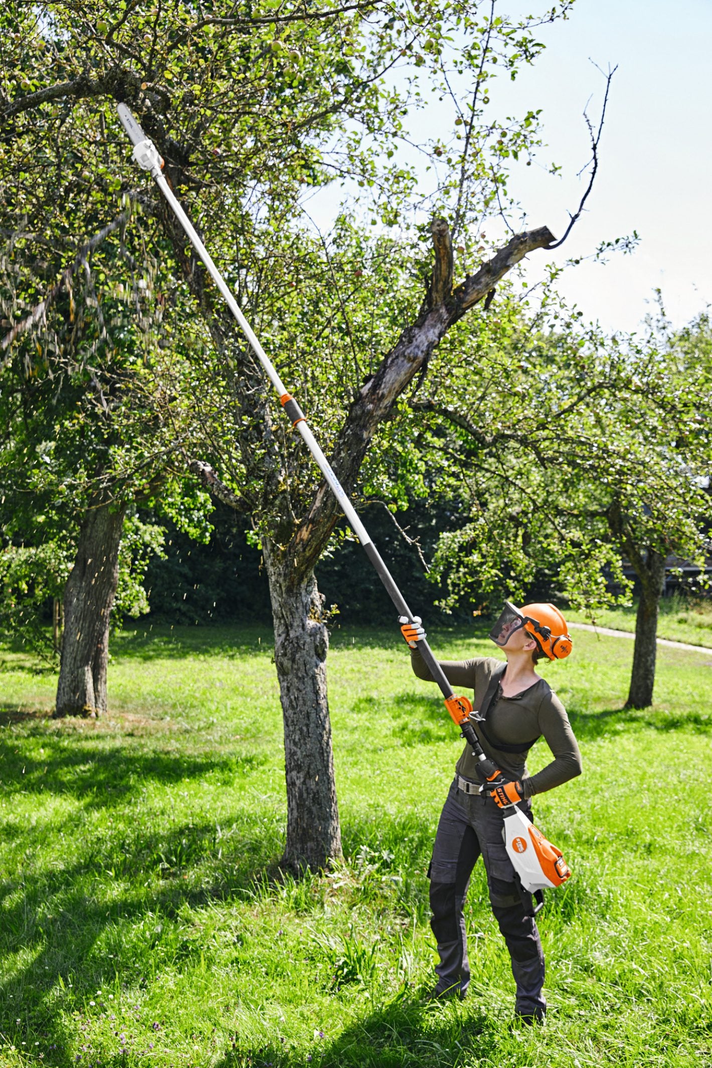 Stihl HTA135 Cordless Telescopic Pole Pruner (Tool only)