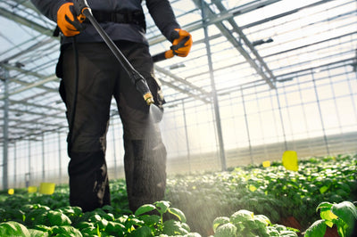 Stihl SG71 Professional Backpack Sprayer 18L