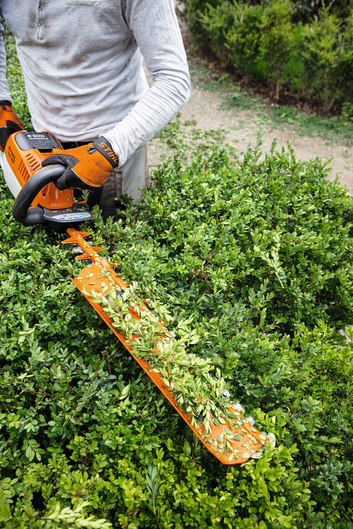 Stihl Hedge Trimmer Catcher Plate for HS86R/87R - up to 30" bar