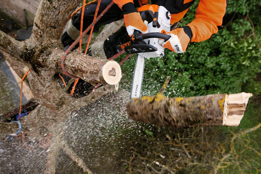 Stihl MS201TC-M Petrol Chainsaw