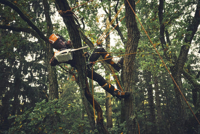 Stihl MSA190T Cordless Chainsaw (Tool only)