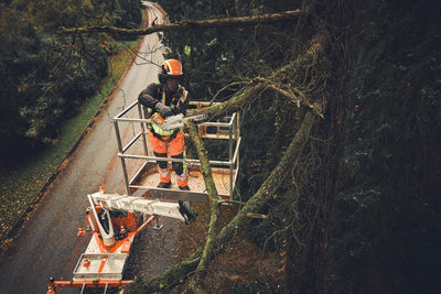 Stihl MSA190T Cordless Chainsaw (Tool only)