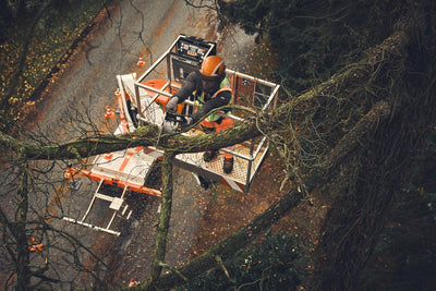 Stihl MSA190T Cordless Chainsaw (Tool only)