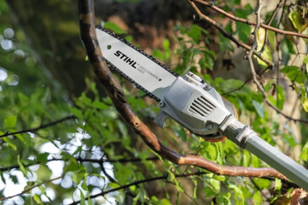 Branch Hook